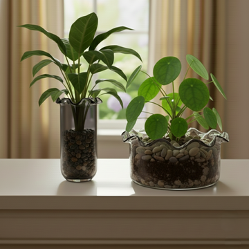 Sculptural Grey - Mini Planter Glass Bowl & Vase (plant not included)