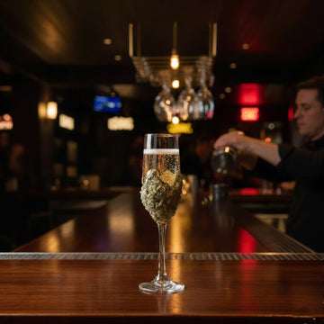 Limited edition - Carcino - Champagne Glass