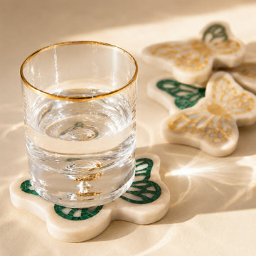 WOLLY BEAR - MARBLE COASTER