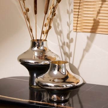 Orbit -  Silver Glass Vase